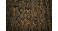 Tomáš Synek