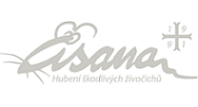 Roman Šimák-Asana