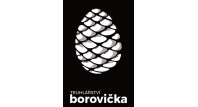 Karel Borovička