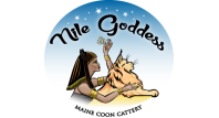 Jolana Pišová, B. Com. - Chovatelská  stanice Nile Goddess, CZ