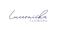 Lucernička flowers