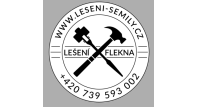 Ing. David Flekna