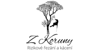 Vojtěch Poustecký - Z koruny